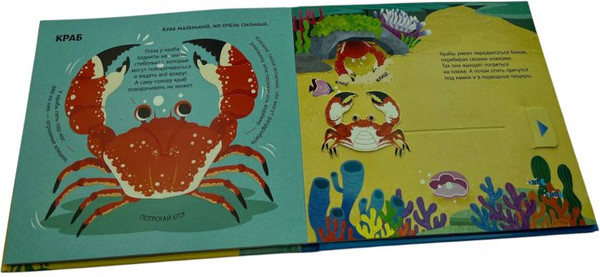 Изображение товара Книжка-панорамка Эксмо Подводный мир, твердая обложка