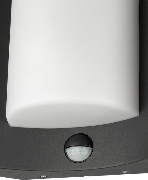 Изображение товара Бра уличное Oasis Light Sidney 0645 Gr