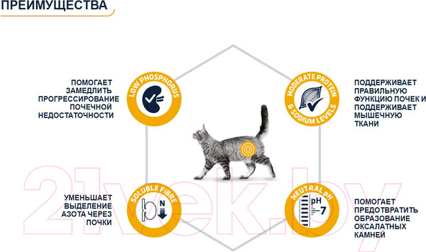 Изображение товара Сухой ветеринарный корм для кошек Advance VetDiet Renal Canine Formula (1.5кг)