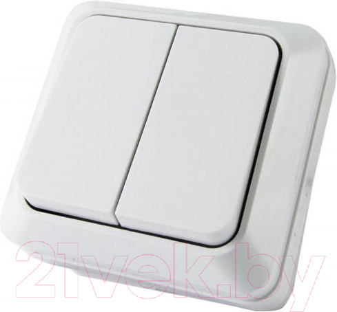 Изображение товара Выключатель TDM Ладога SQ1801-0003 (белый)