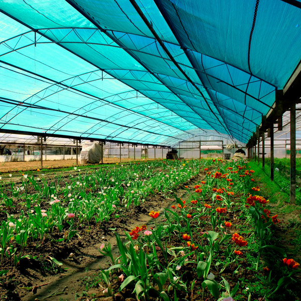 Изображение товара Сетка фасадная GreenTerra Затеняющая 55% (6x50м)