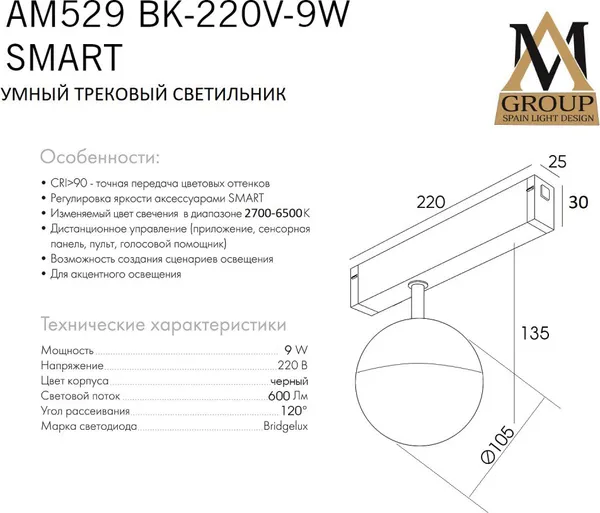 Изображение товара Трековый светильник AM Group Smart Opal AM529 BK-220V-9W