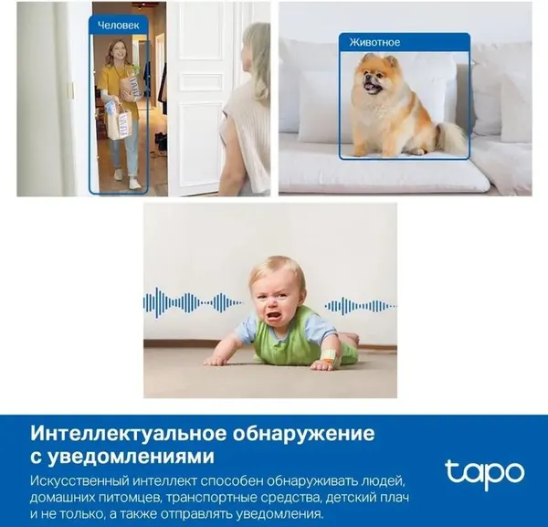 Изображение товара IP-камера TP-Link Tapo C125