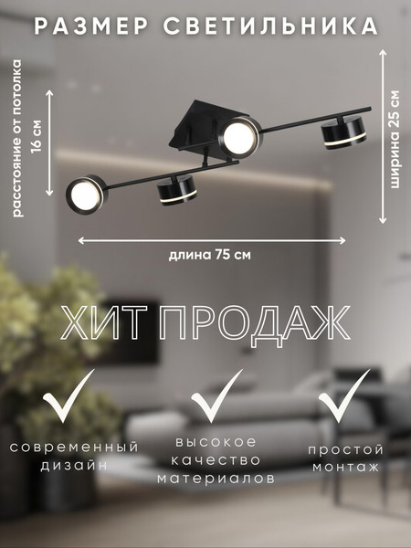 Изображение товара Люстра Aitin-Pro N9501/4  (черный)