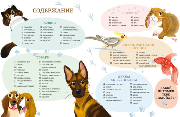Изображение товара Энциклопедия Махаон Все-все-все домашние питомцы (Вилла А. 9785389308763)