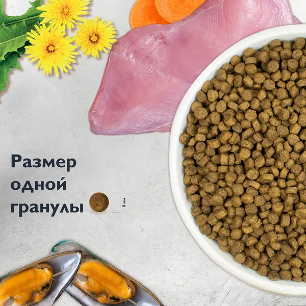 Изображение товара Набор кормов для кошек Брит Кеа Cat для котят (1.5кг+12х85г)