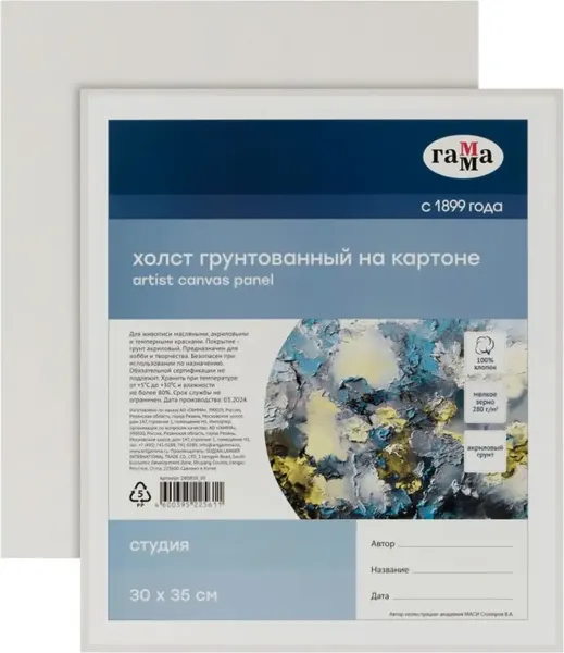 Изображение товара Набор холстов для рисования ГАММА Студия / 17123035 (2шт)