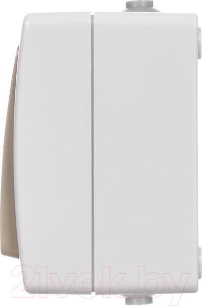 Изображение товара Выключатель TDM Вуокса SQ1803-0001