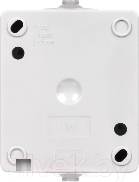 Изображение товара Выключатель TDM Вуокса SQ1803-0001