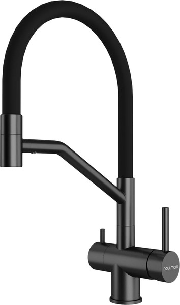 Изображение товара Смеситель Paulmark Rubert Ru213175-GM (вороненая сталь)