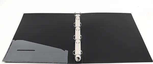 Изображение товара Папка для бумаг Darvish DV-16166BK (черный)