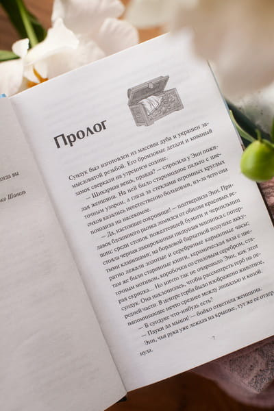 Изображение товара Художественная книга МИФ Книжная деревушка в Шотландии. Лето надежд, твердая обложка (Херцог Катарина)