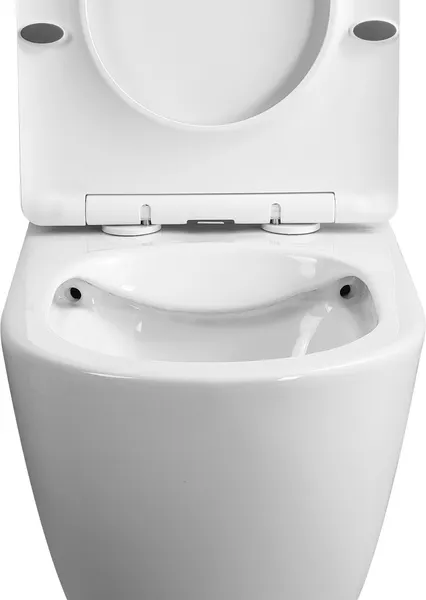 Изображение товара Унитаз подвесной Eva Gold EG102