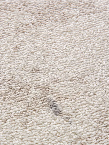 Изображение товара Ковер Merinos Tornado F161-OVAL-BEIGE (2.5x4)