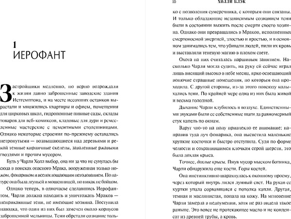 Изображение товара Художественная книга FreeDom Похитительница ночи, твердая обложка (Блэк Холли)