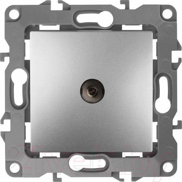 Изображение товара Розетка ЭРА 12-3101-03 / Б0014707 (алюминий)