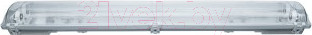 Изображение товара Светильник Navigator 61446 DSP-04S-600-IP65-2хT8-G13