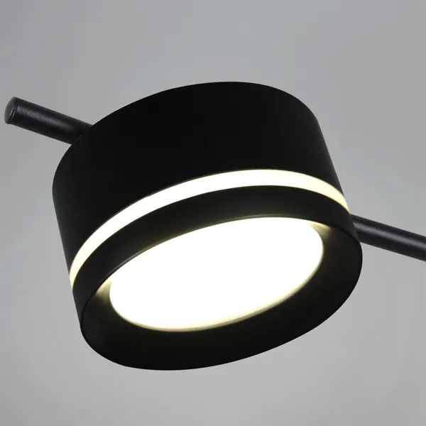 Изображение товара Люстра Reluce 10590-0.3-06 (Black)