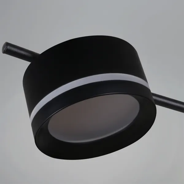 Изображение товара Люстра Reluce 10590-0.3-06 (Black)