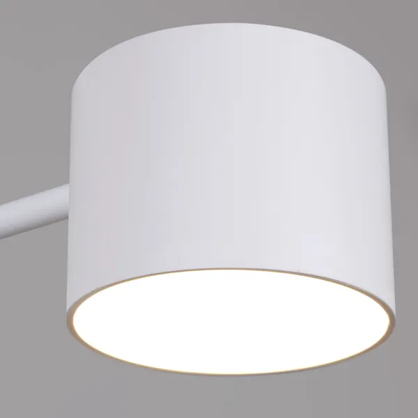 Изображение товара Люстра Reluce 47206-0.3-06WT
