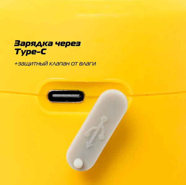 Изображение товара Опрыскиватель помповый Champion SA2LD/1
