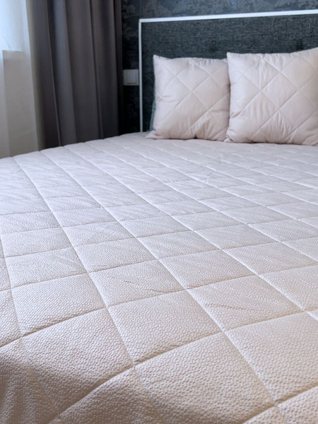 Изображение товара Подушка декоративная Файбертек ПД.45x45.Cream.2
