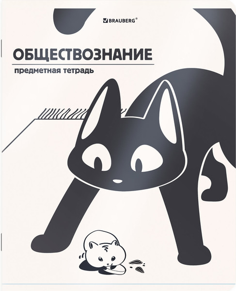 Изображение товара Набор предметных тетрадей Brauberg Кот-непоседа / 405542 (12шт)