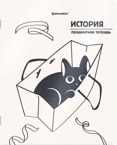 Изображение товара Набор предметных тетрадей Brauberg Кот-непоседа / 405542 (12шт)