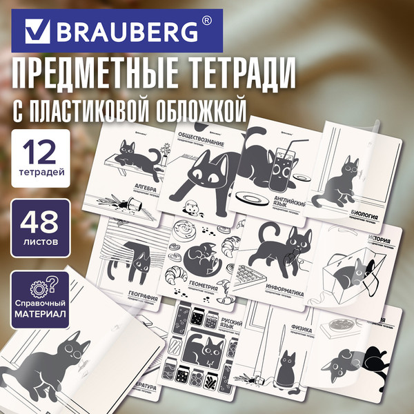 Изображение товара Набор предметных тетрадей Brauberg Кот-непоседа / 405542 (12шт)