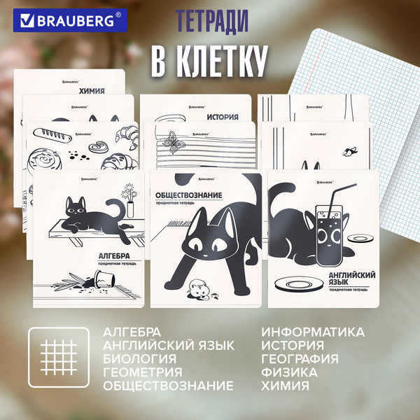 Изображение товара Набор предметных тетрадей Brauberg Кот-непоседа / 405542 (12шт)
