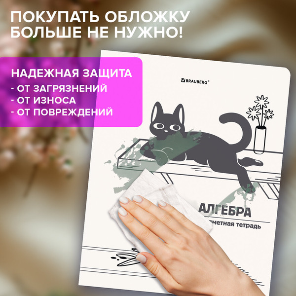 Изображение товара Набор предметных тетрадей Brauberg Кот-непоседа / 405542 (12шт)