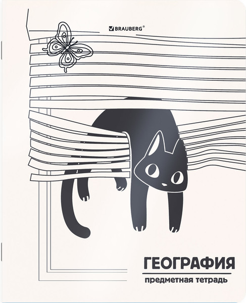 Изображение товара Набор предметных тетрадей Brauberg Кот-непоседа / 405542 (12шт)