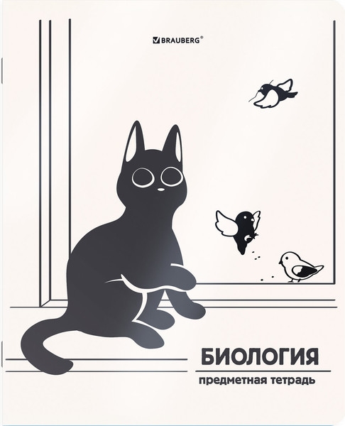 Изображение товара Набор предметных тетрадей Brauberg Кот-непоседа / 405542 (12шт)
