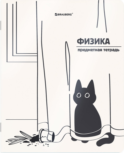 Изображение товара Набор предметных тетрадей Brauberg Кот-непоседа / 405542 (12шт)