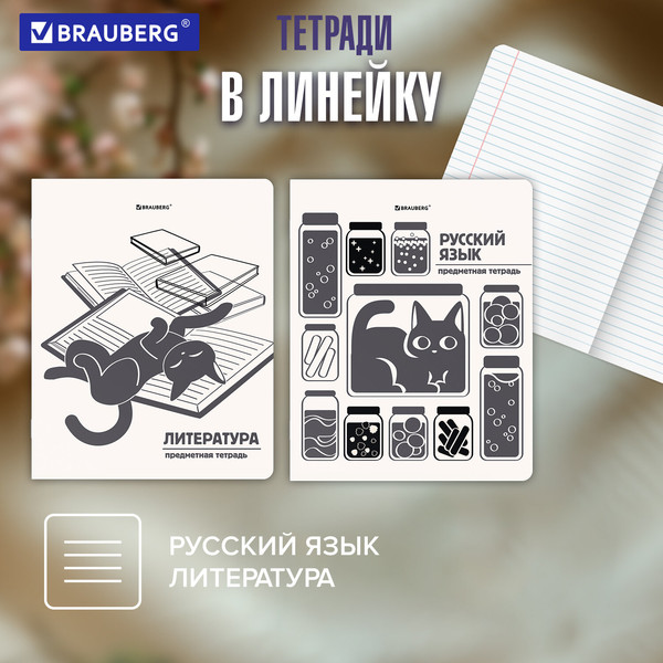 Изображение товара Набор предметных тетрадей Brauberg Кот-непоседа / 405542 (12шт)