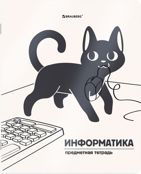 Изображение товара Набор предметных тетрадей Brauberg Кот-непоседа / 405542 (12шт)