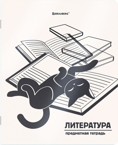 Изображение товара Набор предметных тетрадей Brauberg Кот-непоседа / 405542 (12шт)