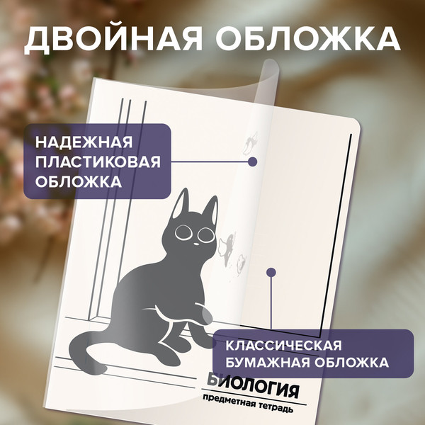 Изображение товара Набор предметных тетрадей Brauberg Кот-непоседа / 405542 (12шт)