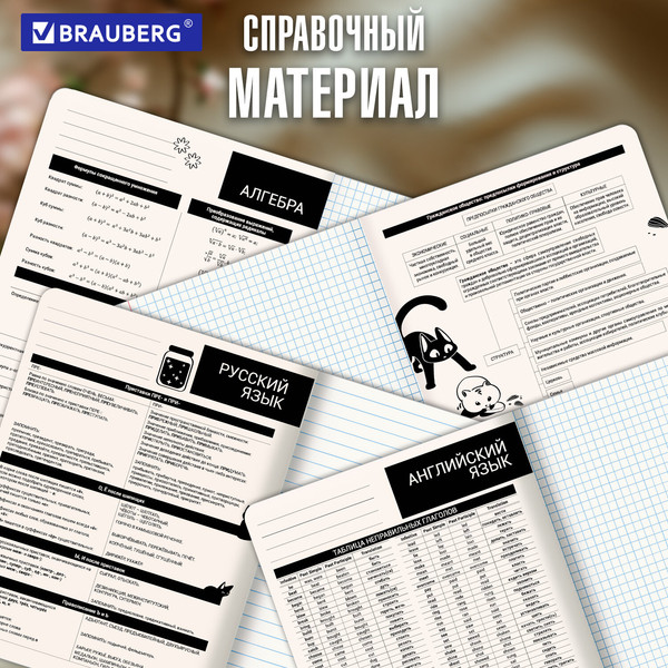 Изображение товара Набор предметных тетрадей Brauberg Кот-непоседа / 405542 (12шт)