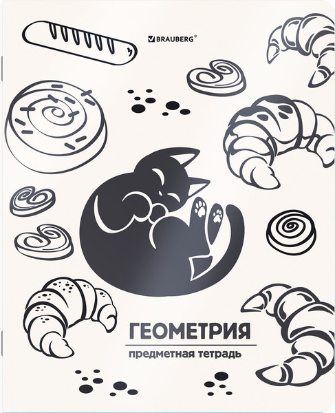 Изображение товара Набор предметных тетрадей Brauberg Кот-непоседа / 405542 (12шт)