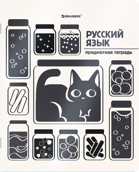 Изображение товара Набор предметных тетрадей Brauberg Кот-непоседа / 405542 (12шт)
