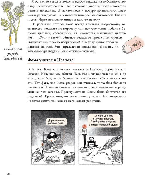 Изображение товара Энциклопедия Попурри Сэм и эволюция. Краткая история эволюционной биологии (Грилль Андреа)