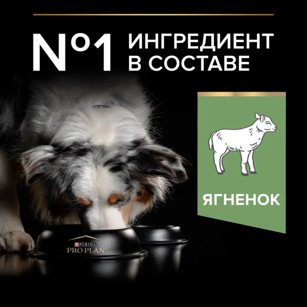 Изображение товара Сухой корм для собак Pro Plan Adult Medium Sensitive Digestion с ягненком (3кг)