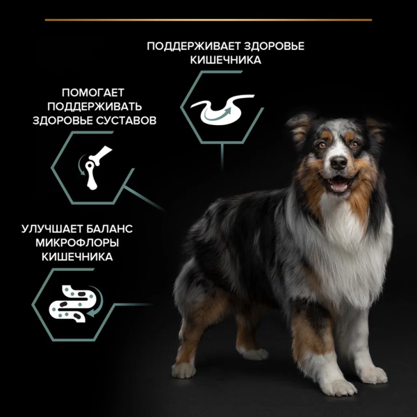 Изображение товара Сухой корм для собак Pro Plan Adult Medium Sensitive Digestion с ягненком (3кг)