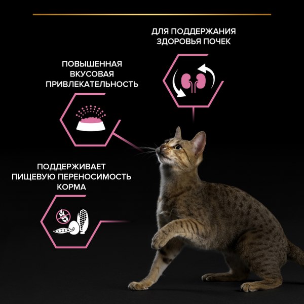 Изображение товара Сухой корм для кошек Pro Plan Delicate с ягненком (3кг)