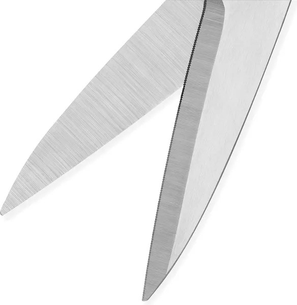 Изображение товара Ножницы кухонные Samura SN-01B/K