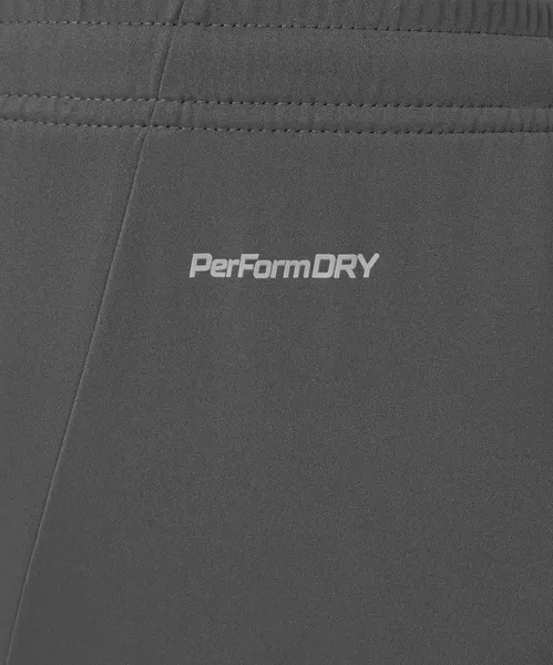Изображение товара Шорты спортивные Jogel Premier PerFormDRY Woven Shorts (темно-серый 93, L)