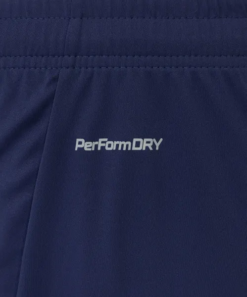 Изображение товара Шорты спортивные Jogel Premier PerFormDRY Training Shorts (темно-синий Z5, XL)