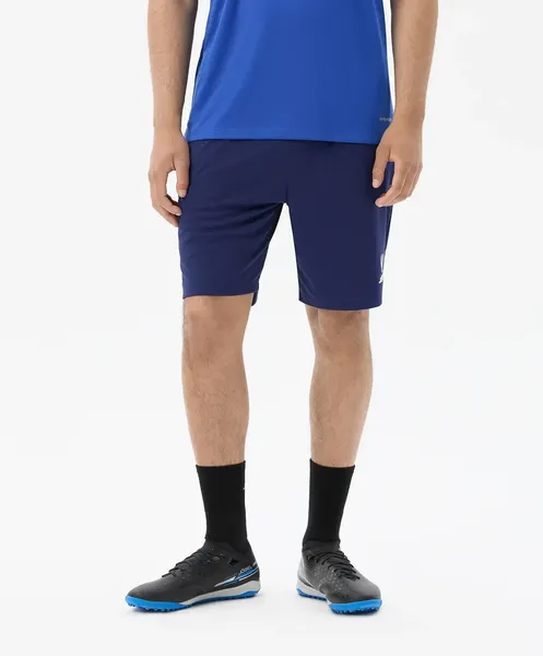 Изображение товара Шорты спортивные Jogel Premier PerFormDRY Training Shorts (темно-синий Z5, XXXL)