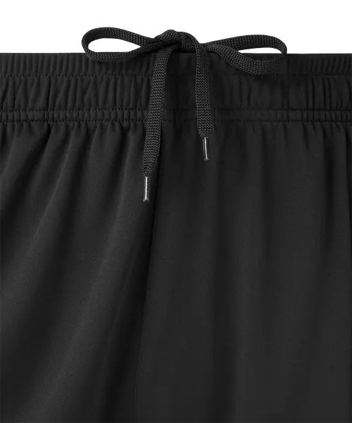 Изображение товара Шорты спортивные Jogel Premier PerFormDRY Training Shorts (черный 99, XS)